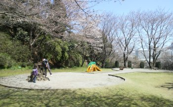 ふじやま公園 広場